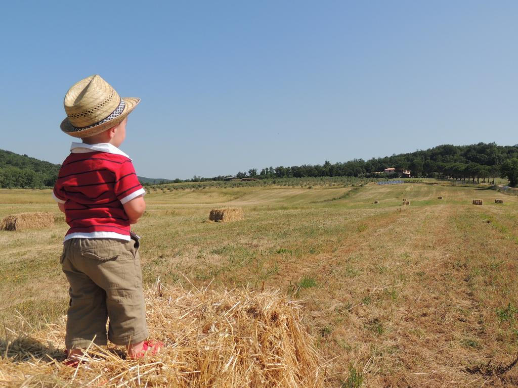 Agriturismo Podere Borgognano Massa Marittima Bagian luar foto