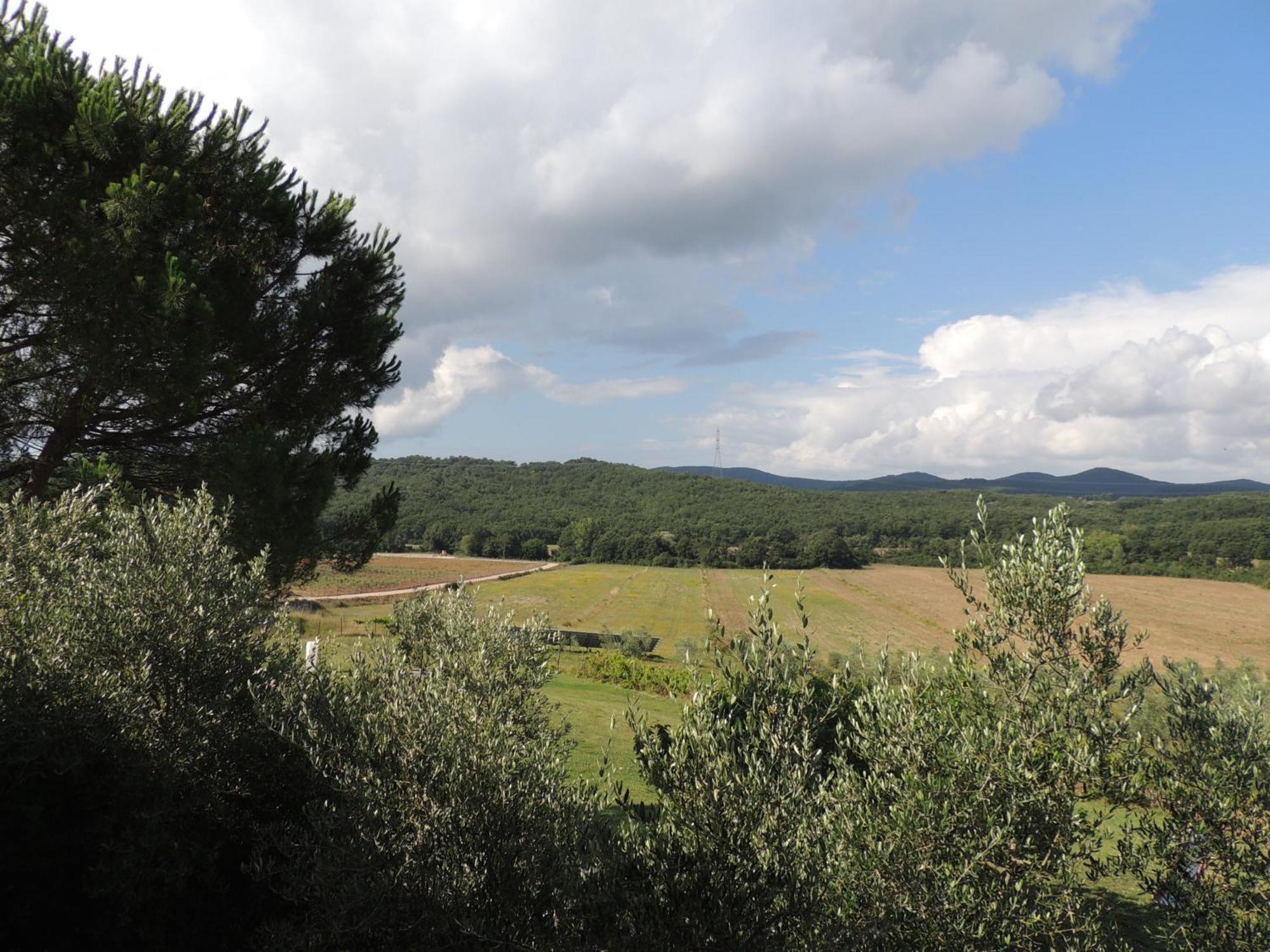 Agriturismo Podere Borgognano Massa Marittima Ruang foto