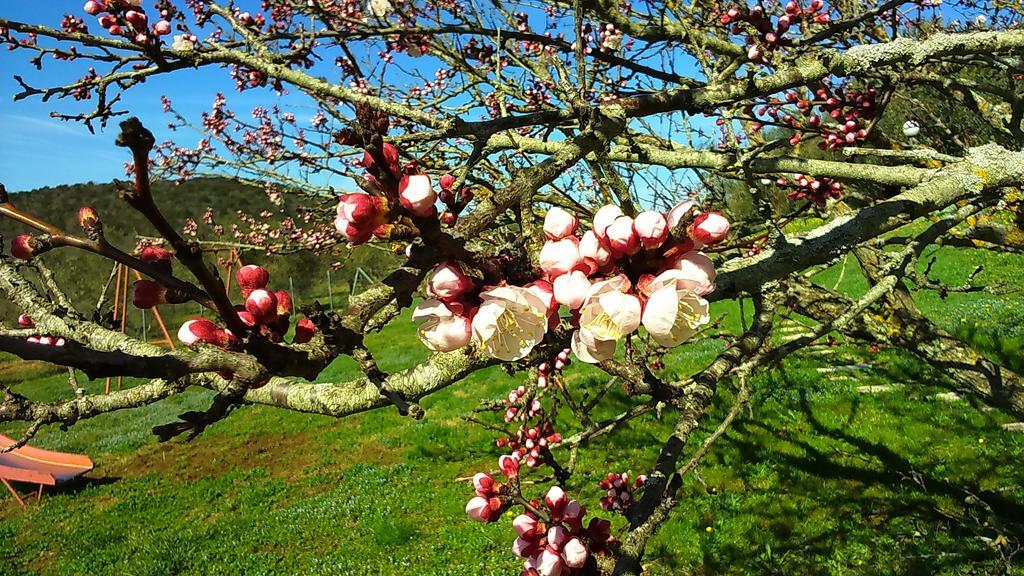 Agriturismo Podere Borgognano Massa Marittima Bagian luar foto