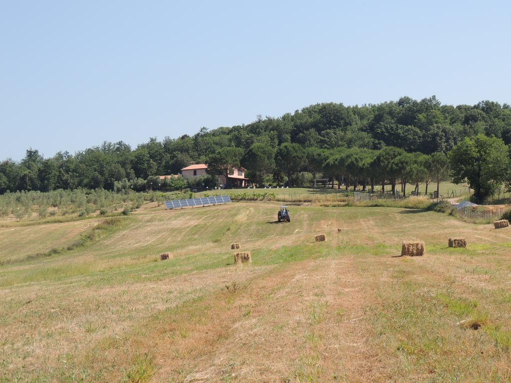 Agriturismo Podere Borgognano Massa Marittima Bagian luar foto