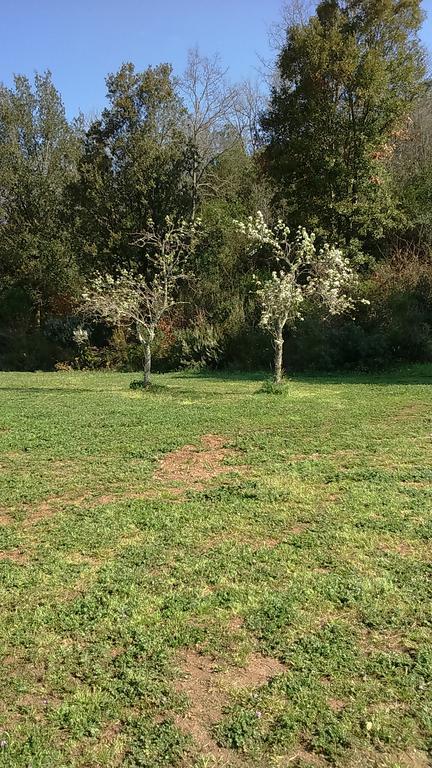 Agriturismo Podere Borgognano Massa Marittima Bagian luar foto