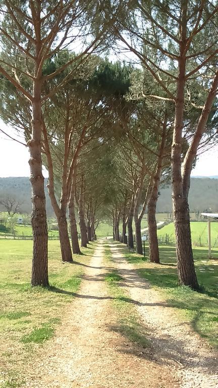 Agriturismo Podere Borgognano Massa Marittima Bagian luar foto
