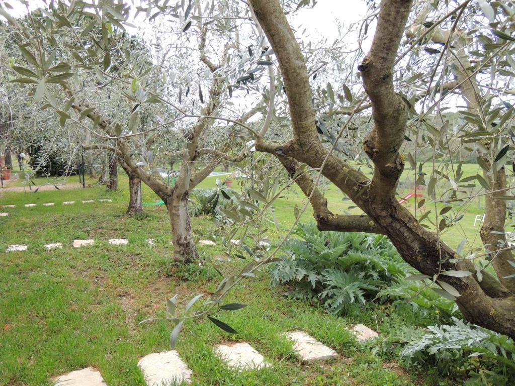 Agriturismo Podere Borgognano Massa Marittima Bagian luar foto