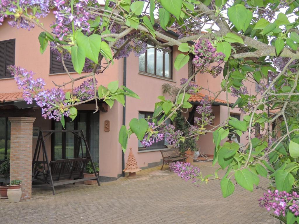 Agriturismo Podere Borgognano Massa Marittima Bagian luar foto