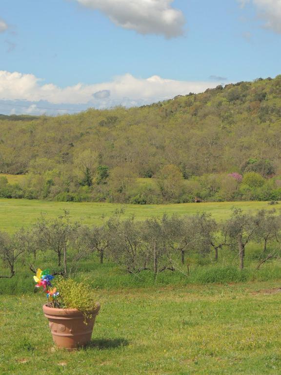 Agriturismo Podere Borgognano Massa Marittima Bagian luar foto